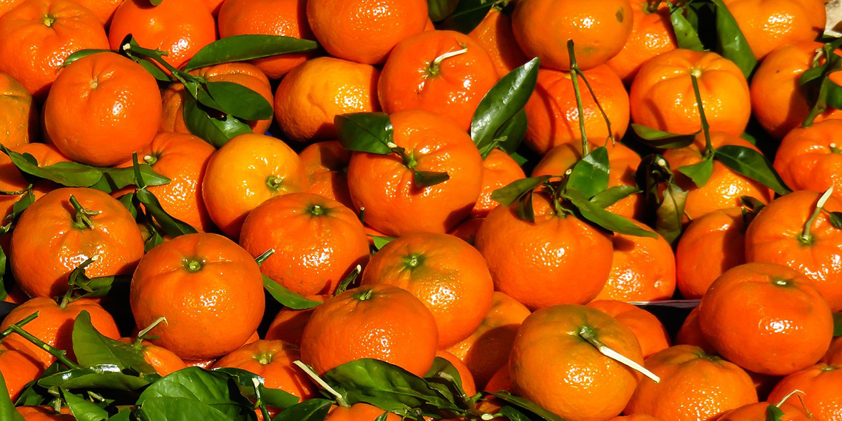 Calabria, cocaina nascosta tra le casse di mandarini